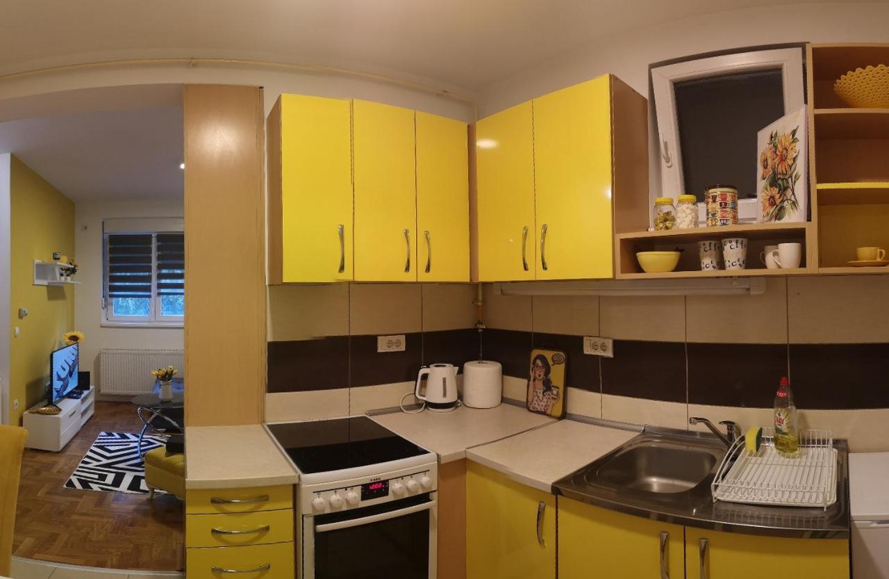 Apartman Sunflower Sremska Mitrovica Luaran gambar